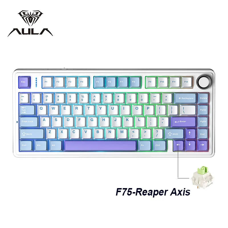 AetherKeys- F75 2.4G Wireless Mechanical Keyboard RGB Customized 75% Layout OEM Profile Gasket Structure