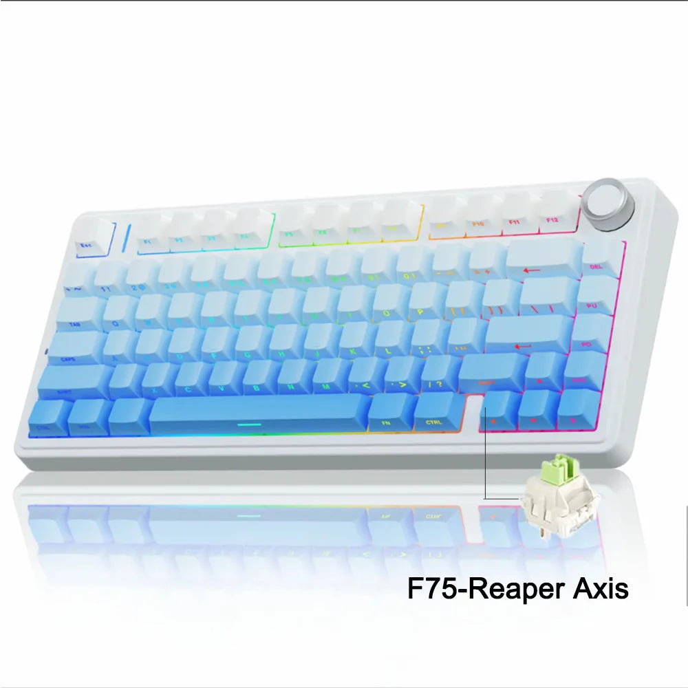 AetherKeys- F75 2.4G Wireless Mechanical Keyboard RGB Customized 75% Layout OEM Profile Gasket Structure