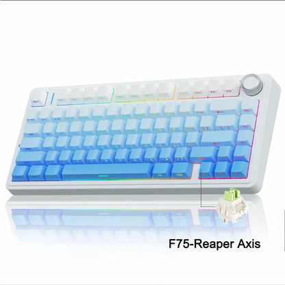 AetherKeys- F75 2.4G Wireless Mechanical Keyboard RGB Customized 75% Layout OEM Profile Gasket Structure
