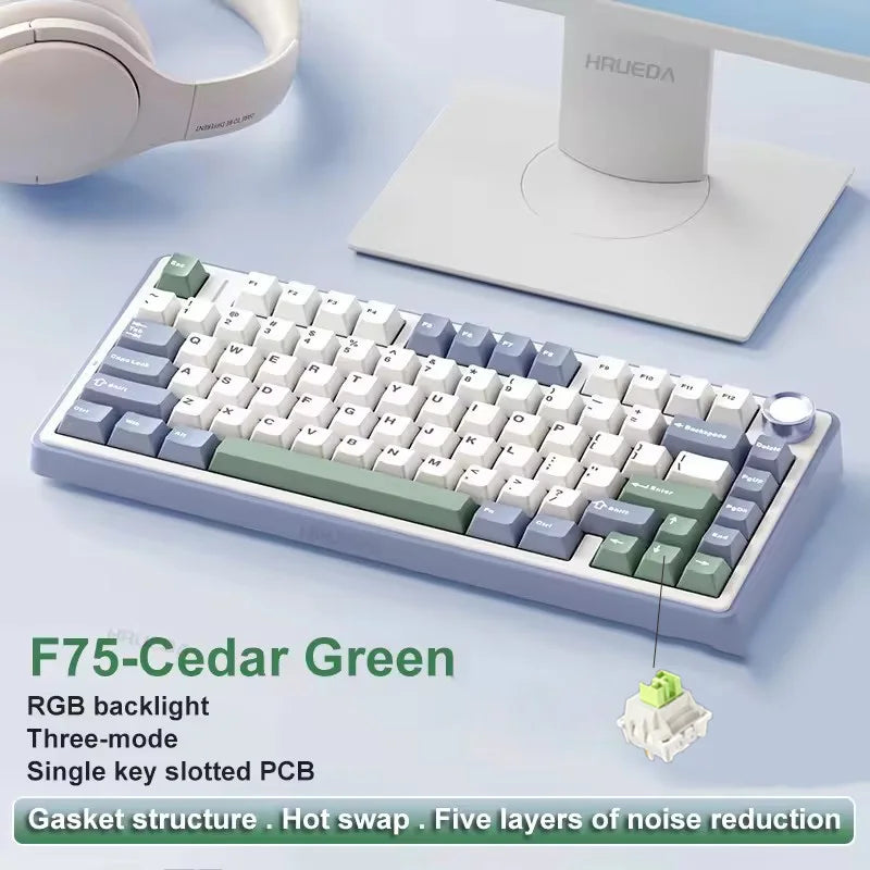 AetherKeys- F75 2.4G Wireless Mechanical Keyboard RGB Customized 75% Layout OEM Profile Gasket Structure