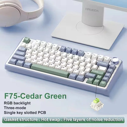 AetherKeys- F75 2.4G Wireless Mechanical Keyboard RGB Customized 75% Layout OEM Profile Gasket Structure