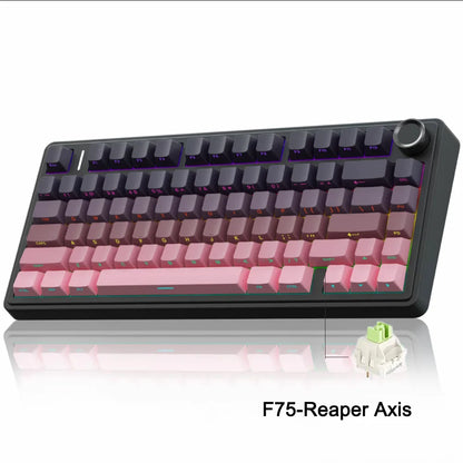 AetherKeys- F75 2.4G Wireless Mechanical Keyboard RGB Customized 75% Layout OEM Profile Gasket Structure