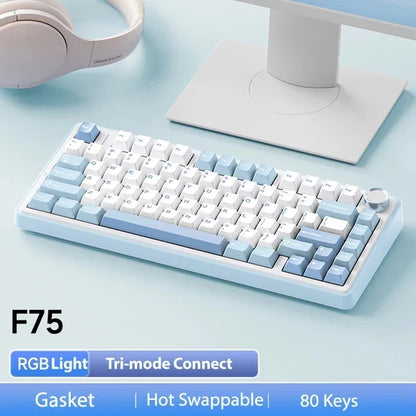 AetherKeys- F75 2.4G Wireless Mechanical Keyboard RGB Customized 75% Layout OEM Profile Gasket Structure